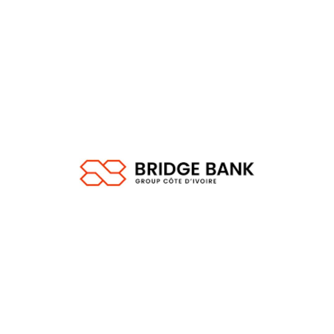 https://www.bridgebankgroup.com/intro