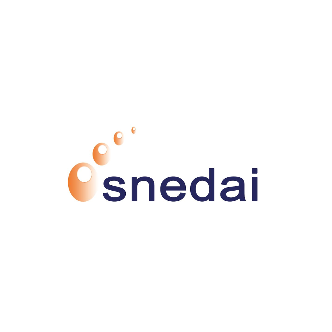 https://snedai.com/